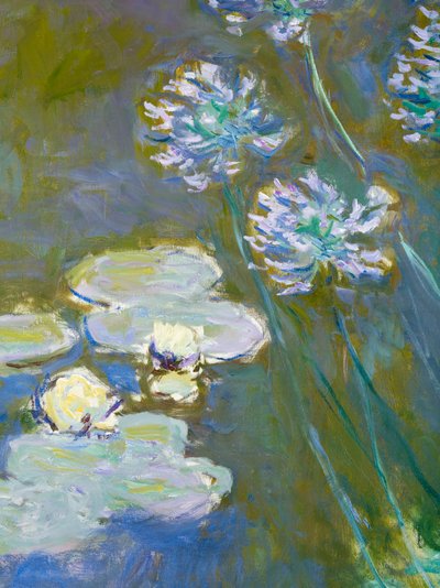 Nenúfares e Agapanthus, 1914-17 detalhe de 82323 óleo sobre tela de Claude Monet